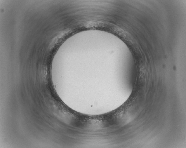 X0000070240592200606051127