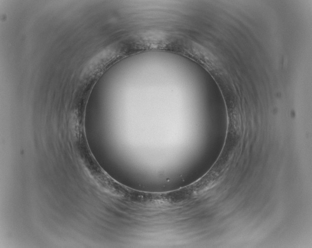 X0000070240594200606051127