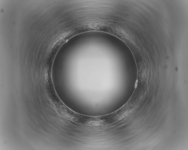 X0000070240595200606051127