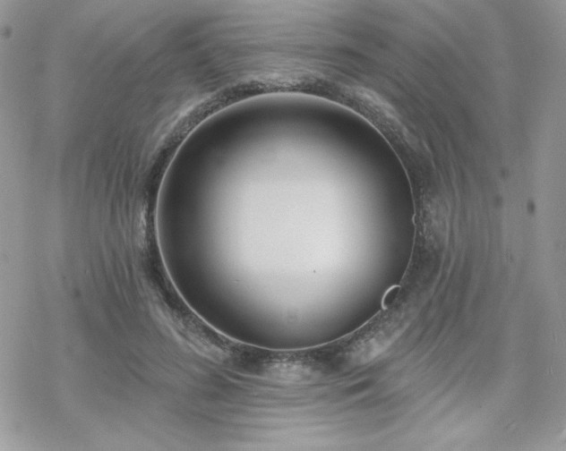 X0000070240596200606051127