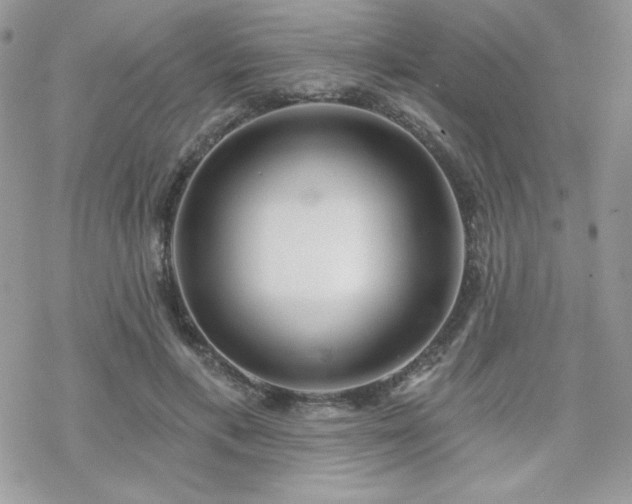 X0000070240597200606051127