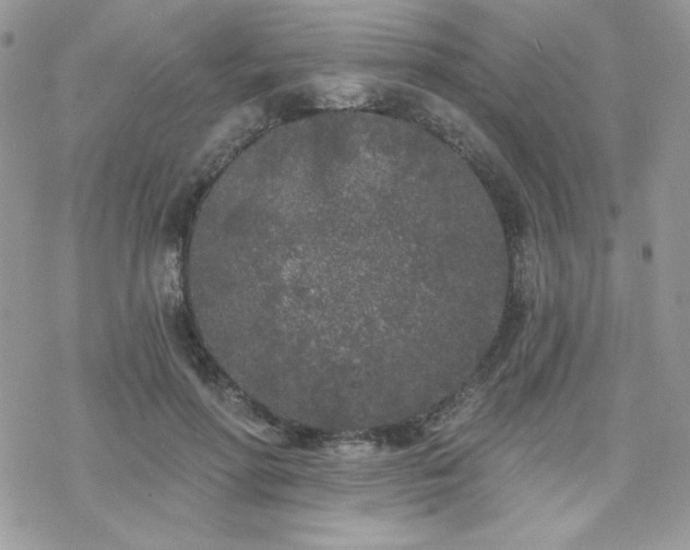 X0000070240598200606051127