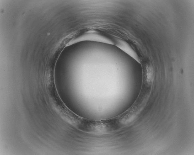 X0000070240600200606051127