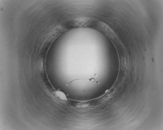 X0000070240602200606051127