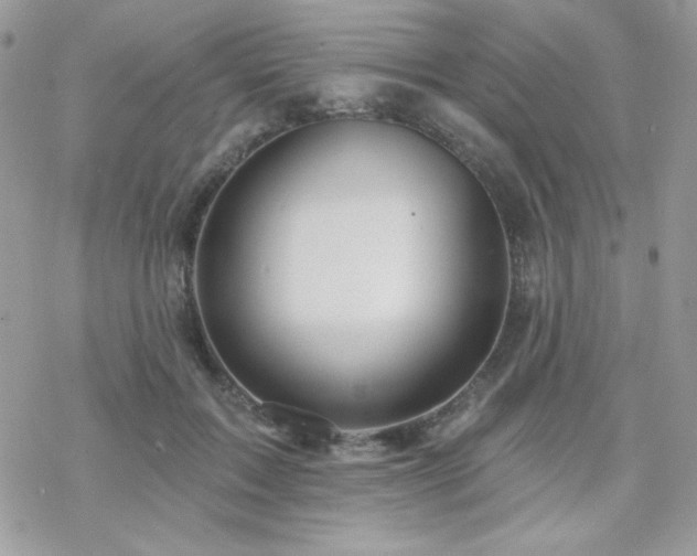 X0000070240603200606051127