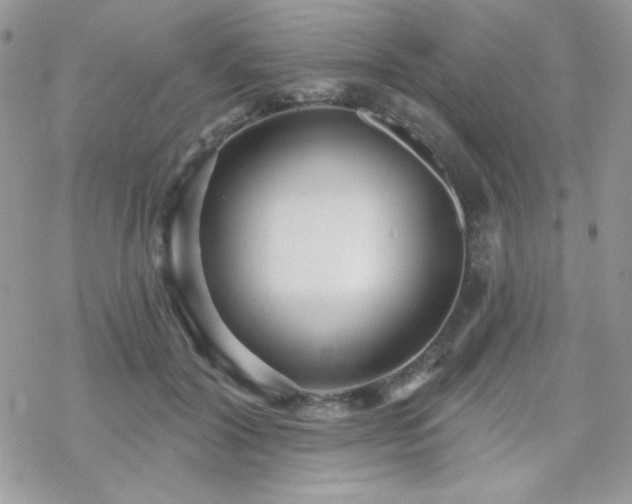 X0000070240604200606051127