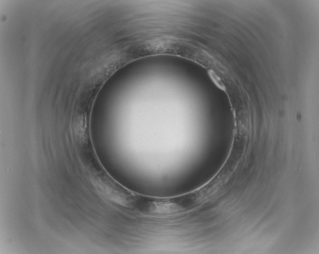 X0000070240605200606051127