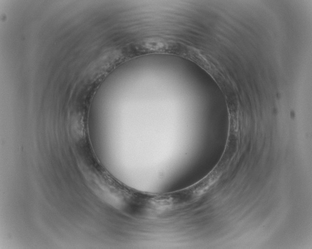 X0000070240606200606051126