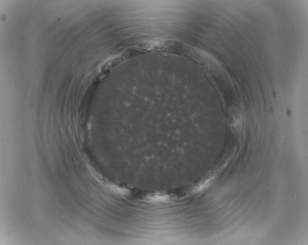 X0000070240607200606051126