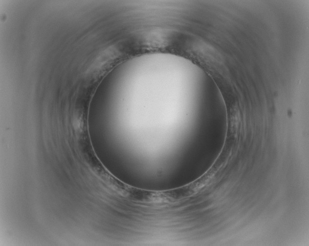 X0000070240608200606051126