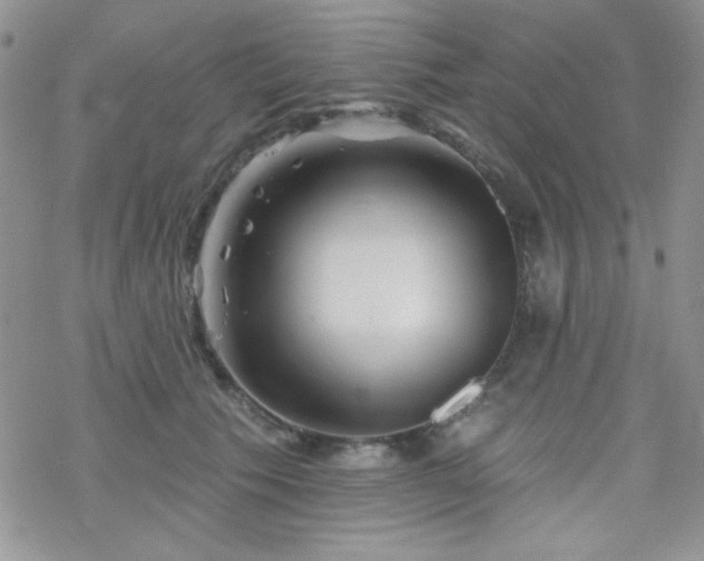 X0000070240609200606051126