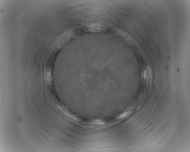 X0000070240610200606051126