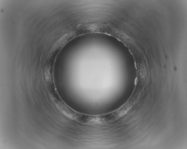 X0000070240611200606051126