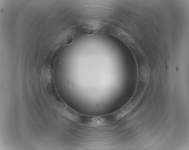 X0000070240612200606051126