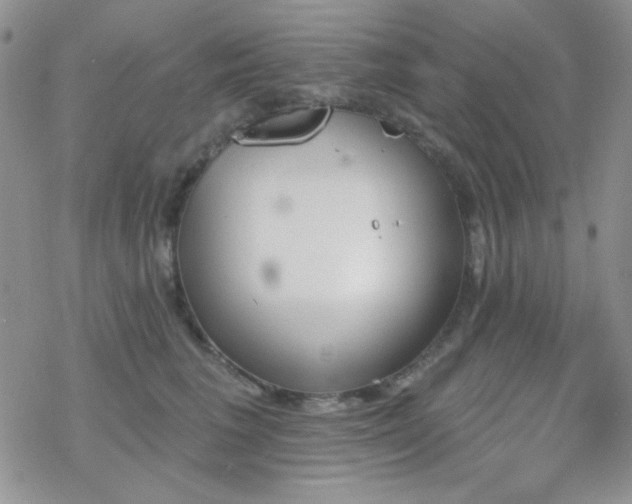 X0000070240613200606051126