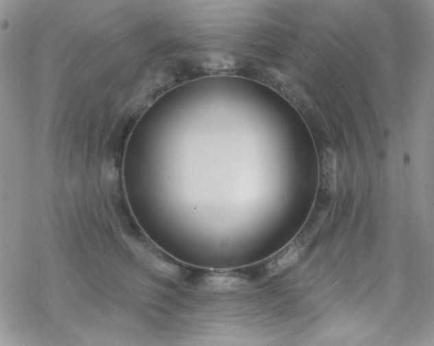 X0000070240614200606051126