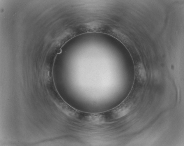 X0000070240615200606051126