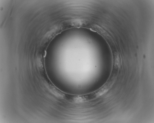 X0000070240616200606051126