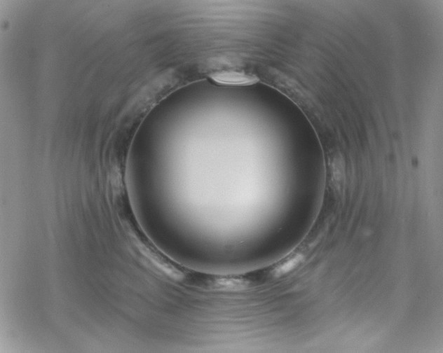 X0000070240617200606051126