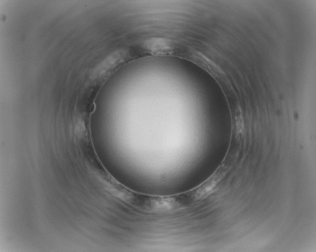 X0000070240618200606051126