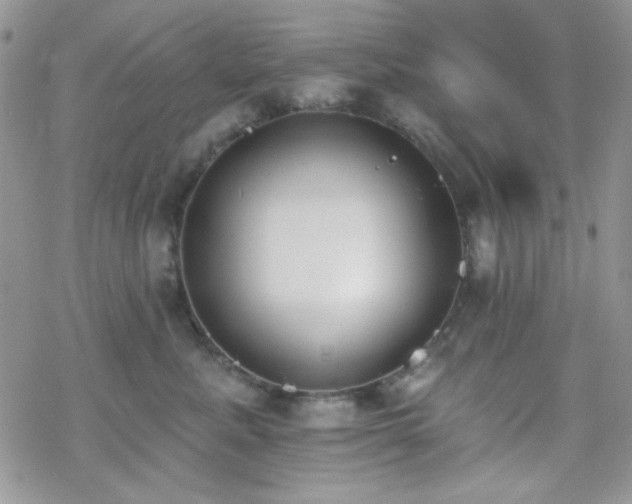 X0000070240619200606051126