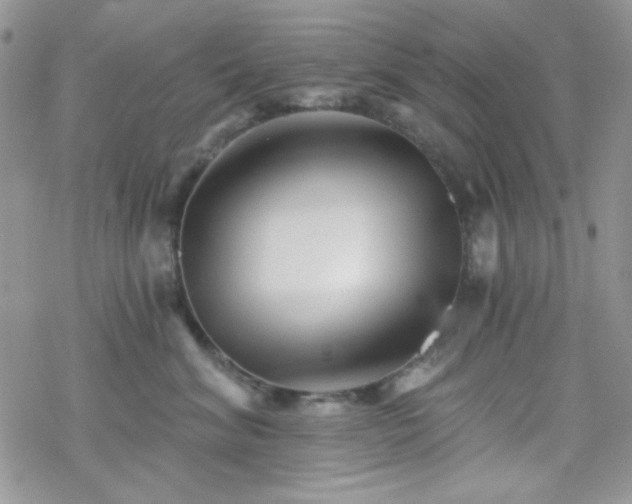 X0000070240620200606051126