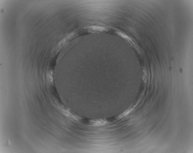 X0000070240621200606051126