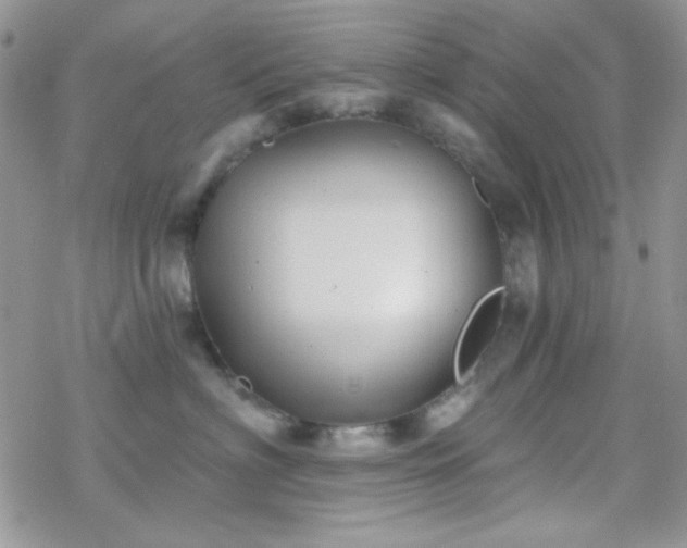 X0000070240622200606051126