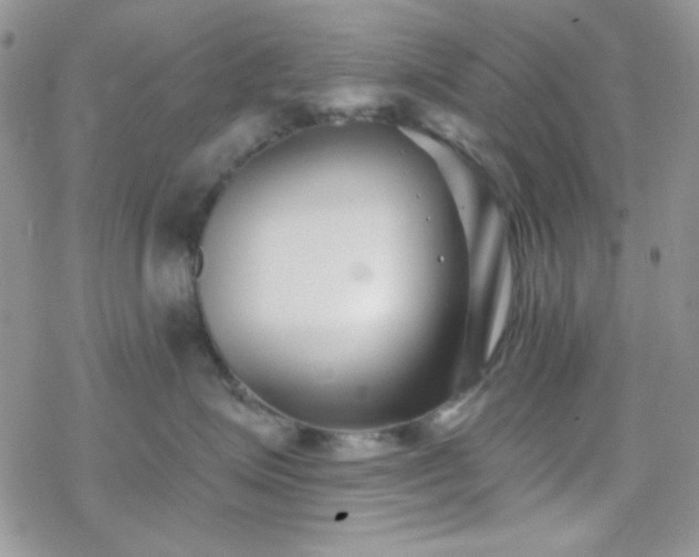 X0000070240623200606051126