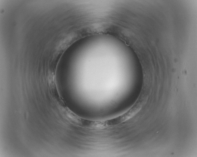 X0000070240624200606051126