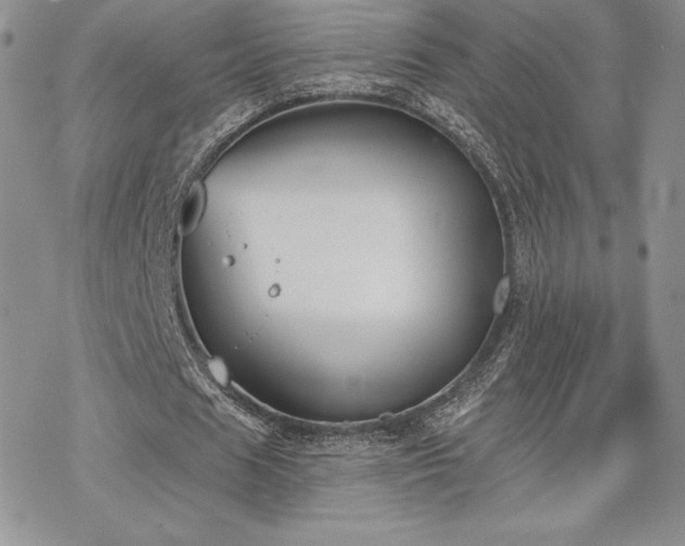 X0000070240625200606051125