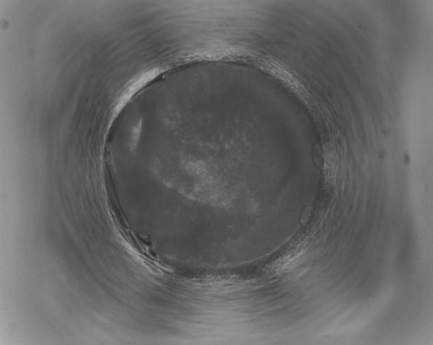 X0000070240626200606051125