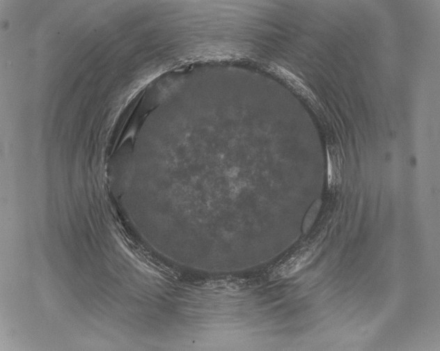 X0000070240627200606051125