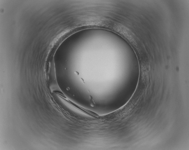 X0000070240628200606051125