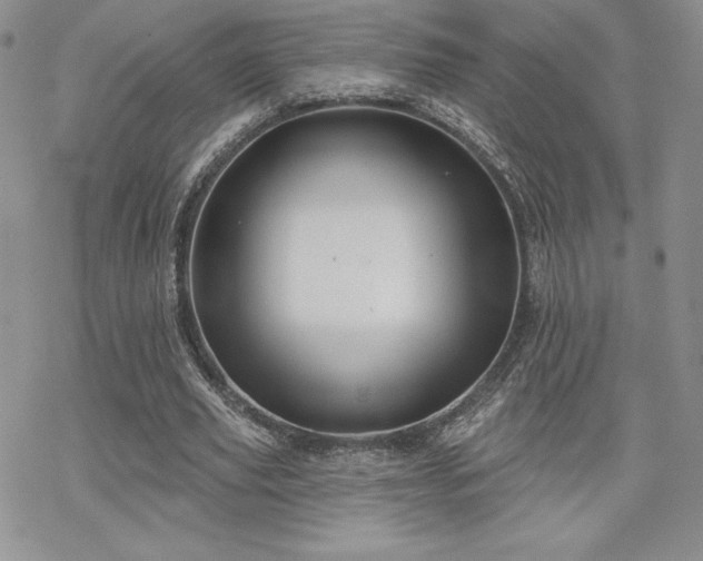 X0000070240629200606051125