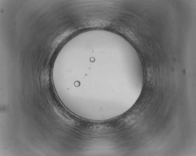 X0000070240632200606051126