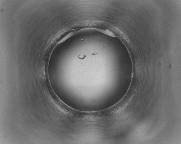 X0000070240633200606051126