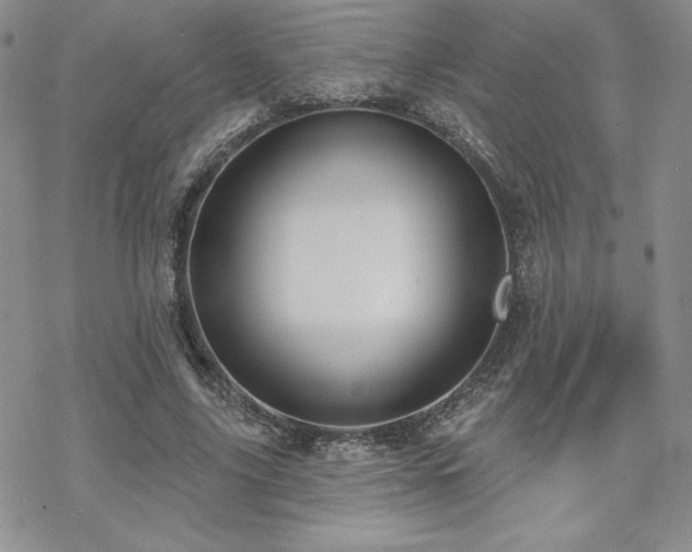 X0000070240635200606051126