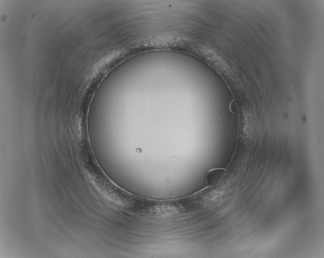 X0000070240636200606051126