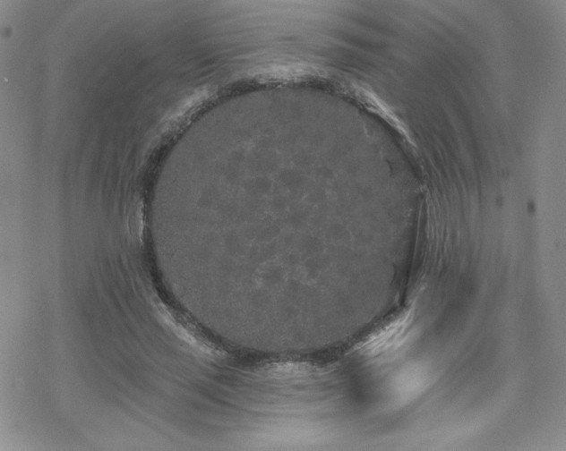 X0000070240637200606051126