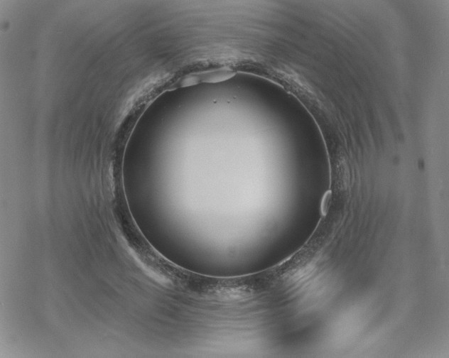 X0000070240638200606051126