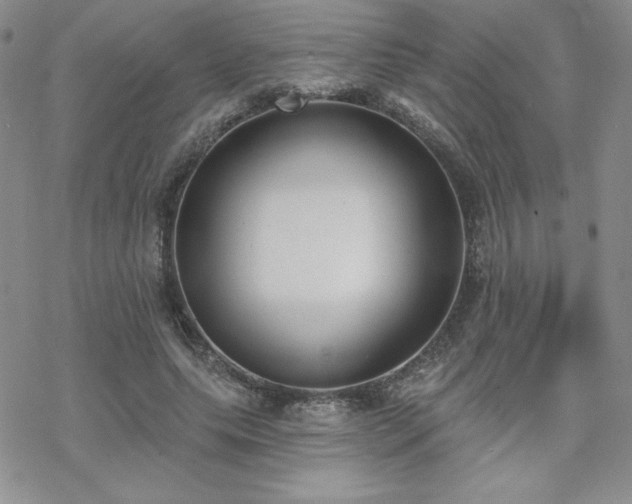 X0000070240639200606051126