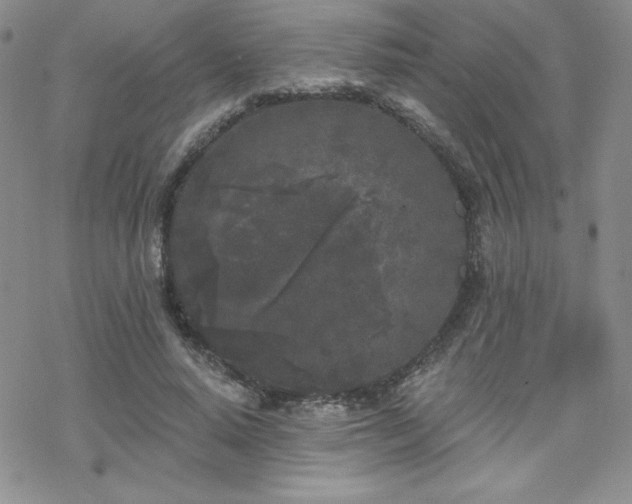 X0000070240640200606051126