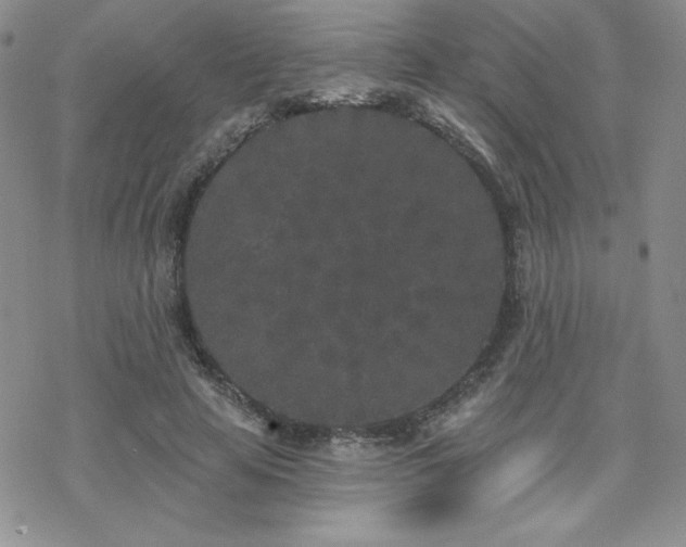 X0000070240641200606051126