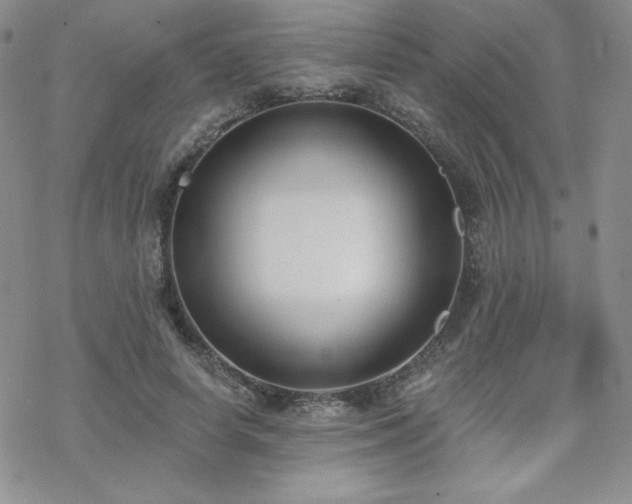 X0000070240642200606051126