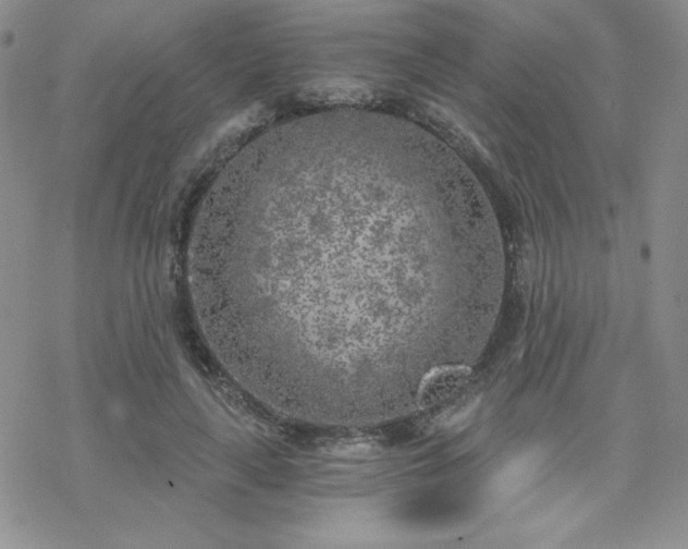 X0000070240643200606051126