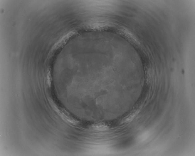 X0000070240644200606051126