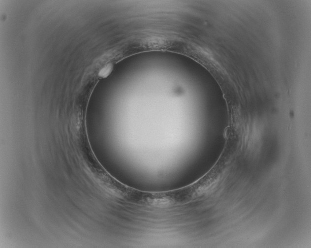 X0000070240645200606051126