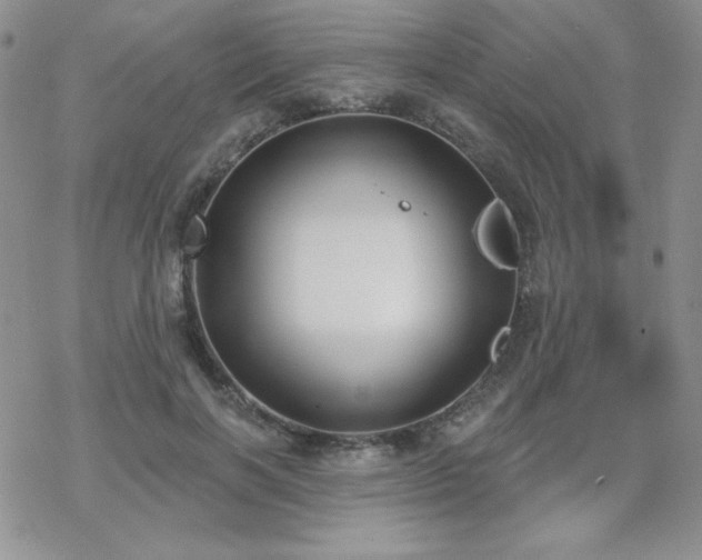 X0000070240646200606051126