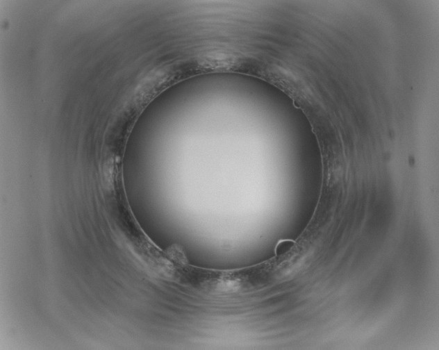 X0000070240647200606051126